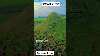 Farmers Love Most Viral  Status [upl. by Ggerk]