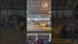 He got 27 and half feet horse drafthorses pull [upl. by Coumas]