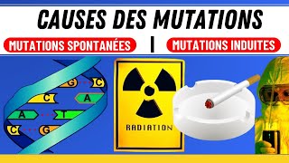 Comment se produisent les mutations Tout ce que vous devez savoir [upl. by Combs132]