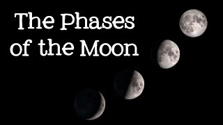 Phases of the Moon Astronomy and Space for Kids  FreeSchool [upl. by Wolgast]