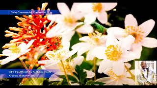 MY FLOWER 4K HDR CREATIONS BY CURTIEECOOL GOLDENVOICE [upl. by Karub581]