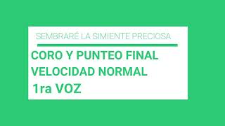 SEMBRARÉ LA SIMIENTE PRECIOSA  1ra VOZ ALTA MANDOLINA [upl. by Lombard]