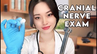 ASMR The Cranial Nerve Exam [upl. by Haelat]