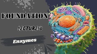 Lecture 3 enzymes Biochemistry foundation module Dr Adham Saleh [upl. by Isborne]