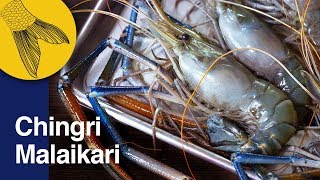 Chingri Malaikari Recipe—Bengali Prawn Malai Curry—Bengali Prawn Curry—Noboborsho Special [upl. by Mihsah]