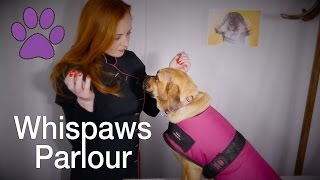 🐾Whispaws Parlour🐾 ASMR Dog Spa amp Massage  Fur Brushing amp Ear Examination [upl. by Elum]