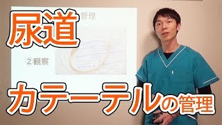 尿道カテーテルの管理  ドクターメイト内科医 山村聡 [upl. by Gladine]