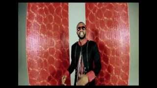 Fally Ipupa  Arsenal de Belles Mélodies Clip Officiel [upl. by Llewkcor]