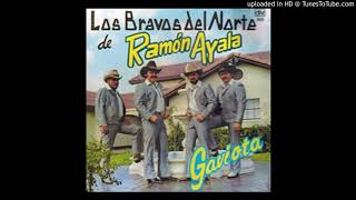 Ramon Ayala  Compañeros De Esta Barra 1986 [upl. by Trumann]