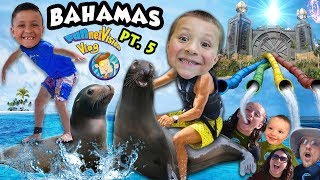 Playing with SEA LIONS  POWER TOWER WATER SLIDES FUNnel Family LEAVES Bahamas ◕︵◕ Trip Part [upl. by Giacamo985]