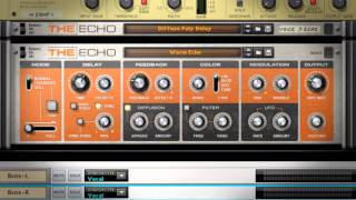 Reason Micro Tutorial The Echo [upl. by Viviane808]