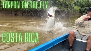 Bucket List Tarpon fishing on the fly in Costa Rica [upl. by Eetnahc]