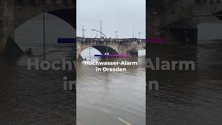 HOCHWASSERALARM in Dresden [upl. by Yetnruoc625]