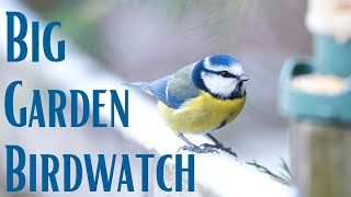 How to Take Part in the Big Garden Birdwatch  RSPB UK [upl. by Jehoash179]