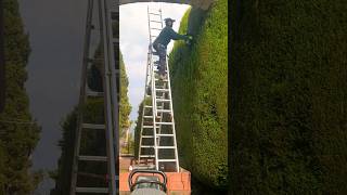 Gardener life 😯italy italiangarden mygarden beautiful gardening [upl. by Ollie]