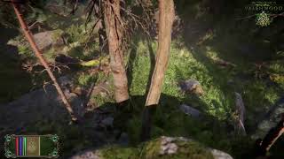 The Elder Scrolls VI  Valenwood Gameplay [upl. by Narol292]