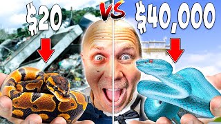 SERPIENTE de 20 vs SERPIENTE de 40000 [upl. by Burkle]