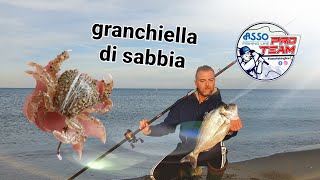 Surfcasting Granchietto di sabbia per la lunga DISTANZA short obbiettivosurfcasting [upl. by Blen]