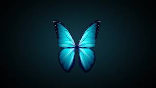 Blue Butterfly flapping wings  Free motion graphics [upl. by Aisetra981]