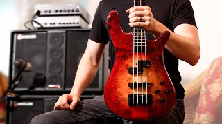 Behold the SPECTOR EURO CST  Demo by Nate Navarro [upl. by Penn873]