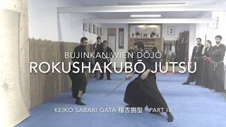 Bujinkan Bojutsu  Keiko Sabaki Gata [upl. by Phillida]