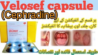 Velosef 500 mgcephradine capsule velosef 500mgbenefits and side effects use in Urdu [upl. by Annoyed907]