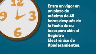 Registro Electrónico de Apoderamiento REA [upl. by Tremaine]