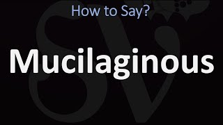 How to Pronounce Mucilaginous CORRECTLY [upl. by Dnomsad994]