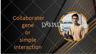 Collaborater gene Simple interaction Intergenic interaction part 5 [upl. by Eilyak]