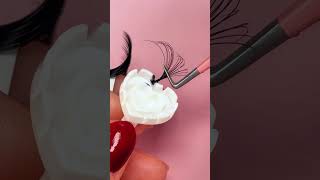 lash extensions fans for beginners lashtech lashtips lashinspo beginnerlashtech lashes eyelash [upl. by Thunell686]