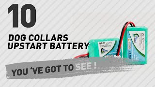 Dog Collars Upstart Battery  Top 10 Most Popular [upl. by Sparhawk887]