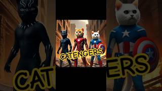 Catengers  Ironmeow blackCat CatTain America  Cute kitten kucinglucu cat [upl. by Airel778]