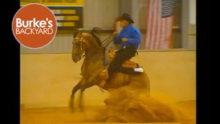 American Western Horses in Australia [upl. by Faline217]