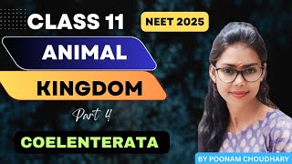 PHYLUM COELENTERATA  CNIDARIA  Animal kingdom L4  class 11  Neet 2025  Poonam Choudhary [upl. by Natsirhc]