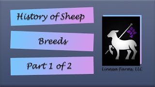 History of Sheep Breeds Part 1 of 2 [upl. by Eilra]