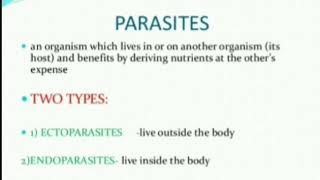 Parasites Ectoparasites and Endoparasite [upl. by Gazzo554]