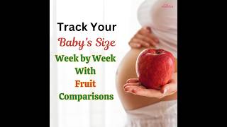 Fetal Development Week By Week  Baby Size Comparison With Fruits [upl. by Aiker196]