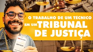 O Que Faz Um TÉCNICO DE TRIBUNAL Na Prática [upl. by Enaed]