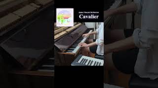 James Vincent McMorrow  Cavalier Solum Piano Cover piano rnb cavalier [upl. by Madelin]