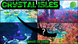 The Best Dinos To Tame On Crystal Isles  Ark Survival Evolved  Quick Guides  2021 [upl. by Cale131]