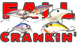 Crankbait Tricks For Fall Bass Fishing [upl. by Carnay622]