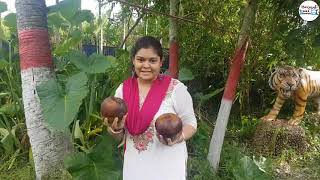 তালের বড়া নরম তুলতুলে ও ভীষণ টেস্টি Taler Bora  Taler Pitha  Palm FrittersNeeldeep Garden [upl. by Aidualk]