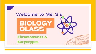 Chromosomes amp Karyotypes [upl. by Disraeli]