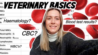 VETERINARY BASICS How to read a blood test CBC amp Haematology [upl. by Erreipnaej]