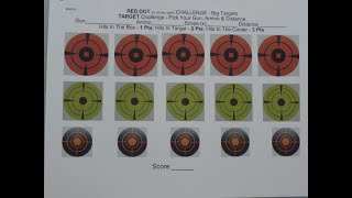 Shooting Another 22 LR 50Y Challenge Target of Targets [upl. by Siwel]