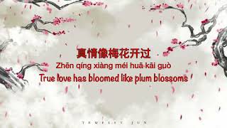 一剪梅 Yi Jian Mei 费玉清 Fei YuChing Fei Yu Qing  Chinese Pinyin amp English Translation [upl. by Erusaert]