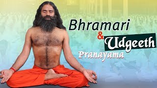 Bhramari amp Udgeeth Pranayama  Swami Ramdev [upl. by Ynaiffit]