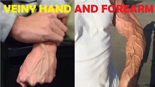 intense veiny hand and forearm advanced workout [upl. by Lida]