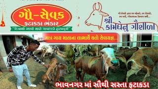 શ્રી કામધેનુ ગૌશાળા ફટાકડા ભંડાર ભાવનગર  ભાવનગર માં સૌથી સસ્તા ફટાકડા  fatakda 2024  Diwali [upl. by Votaw]