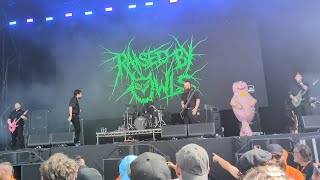 Raised By Owls  Break Stuff Limp Bizkit coverLive at Bloodstock 2024 [upl. by Duffie]